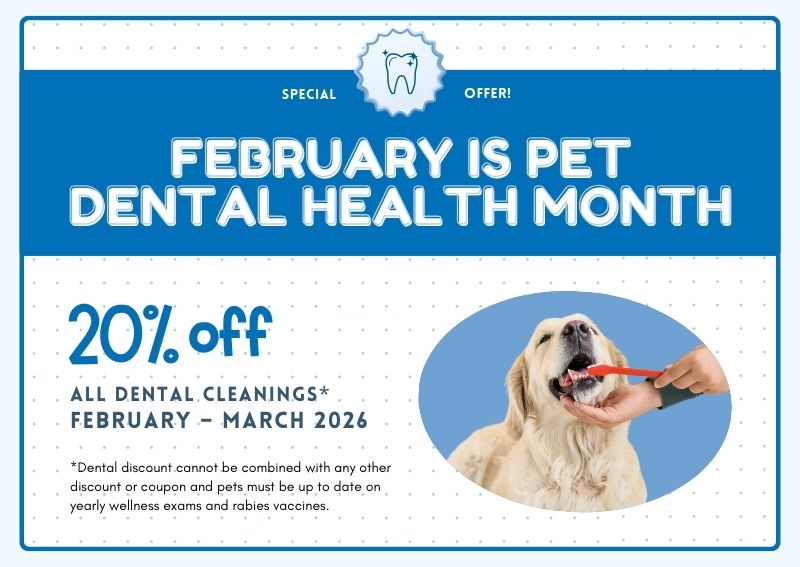 Carousel Slide 1: Call us to book today!